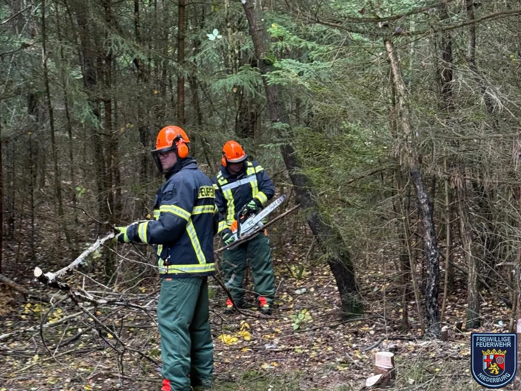 Großübung Waldbrand auf dem Pydna-Gelände
